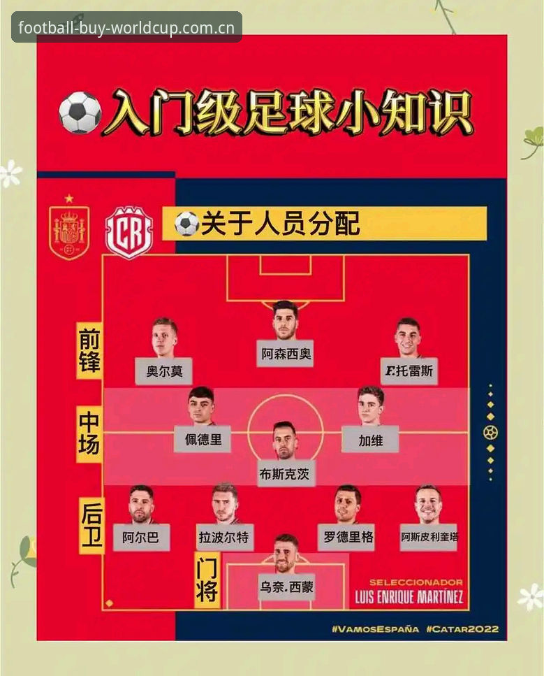 从入门到精通：资深用户分享世界杯买球App怎么用使用指南